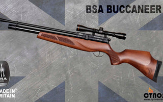BSA Buccaneer SE Wood